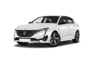 Peugeot 308 Premium Flotta Plus